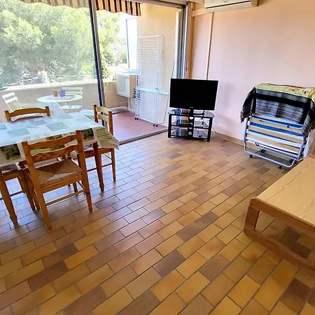 Apartment T1 Climatise Avec Parking A 700m Des Plages, Animaux Admis - Fr-1-316-250 *